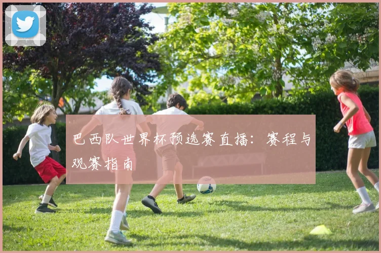 巴西队世界杯预选赛直播：赛程与观赛指南
