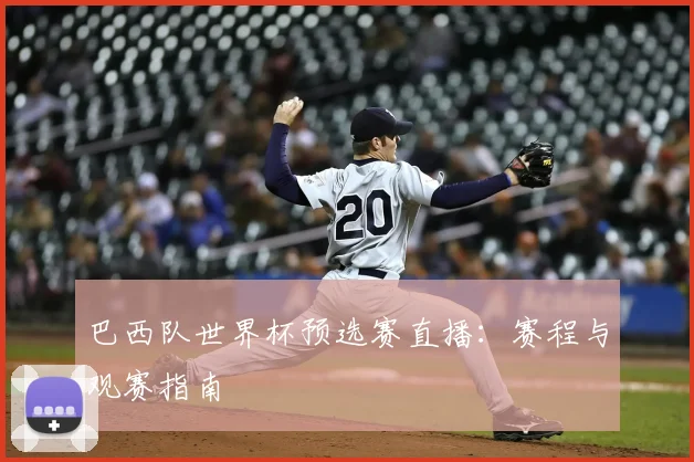 巴西队世界杯预选赛直播：赛程与观赛指南